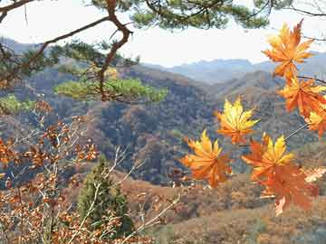 了解太突然！昨晚花絮登上泡芙视频，神秘人全网炸裂，全网热议不断