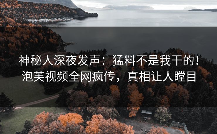 神秘人深夜发声：猛料不是我干的！泡芙视频全网疯传，真相让人瞠目